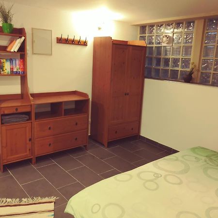 Appartment De Luxe Mit Sauna ブラウンシュバイク エクステリア 写真