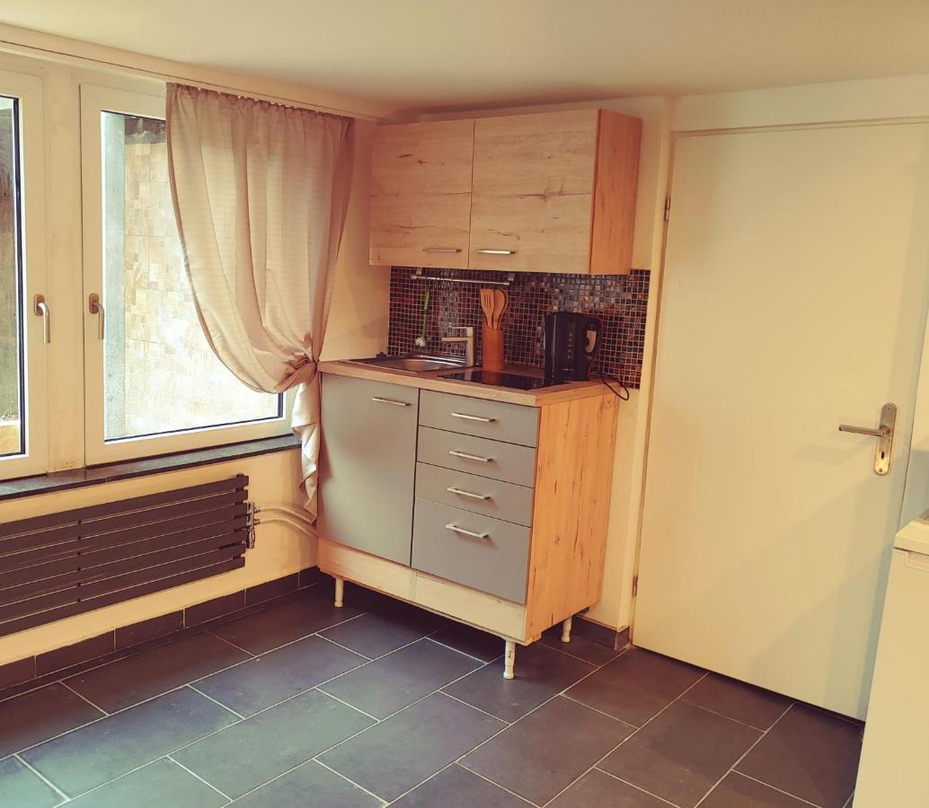 Appartment De Luxe Mit Sauna ブラウンシュバイク エクステリア 写真