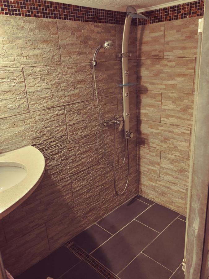 Appartment De Luxe Mit Sauna ブラウンシュバイク エクステリア 写真