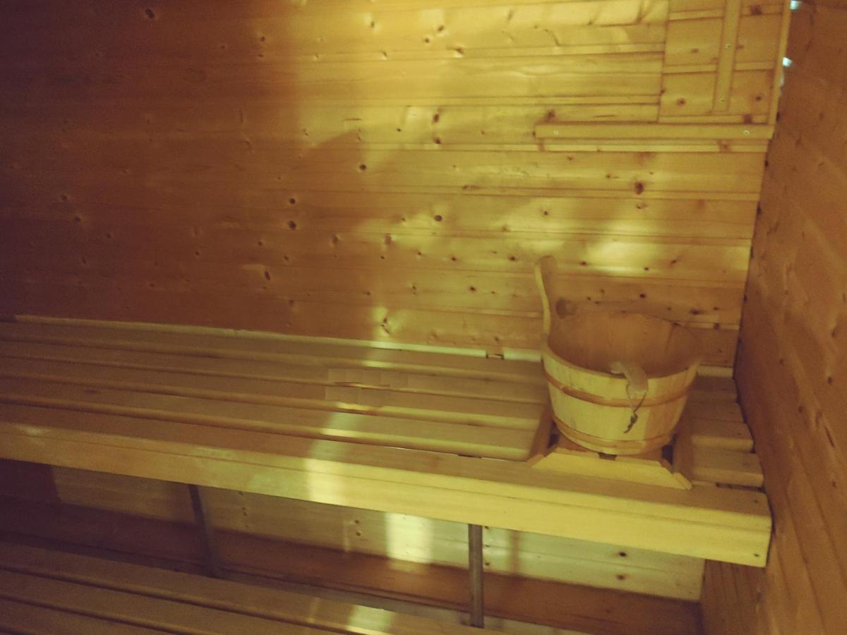 Appartment De Luxe Mit Sauna ブラウンシュバイク エクステリア 写真