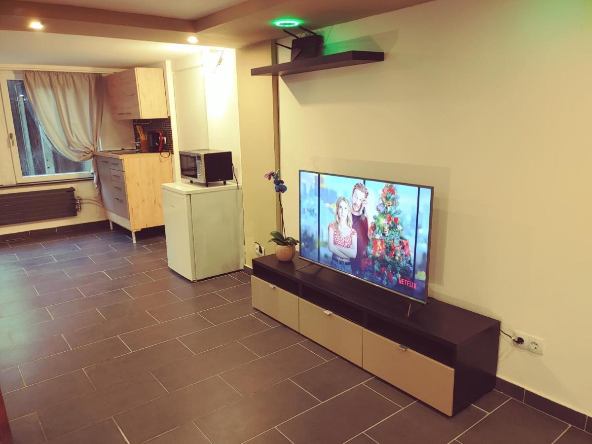 Appartment De Luxe Mit Sauna ブラウンシュバイク エクステリア 写真