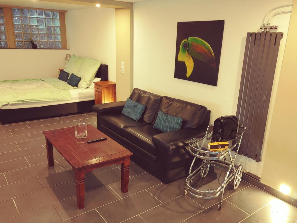 Appartment De Luxe Mit Sauna ブラウンシュバイク エクステリア 写真